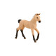 Schmidt Spiele Schleich: Horse Club - Hannoveraner Fohlen, Puzzle(100 Teile, inkl. Schleich Hannoveraner Fohlen Figur)