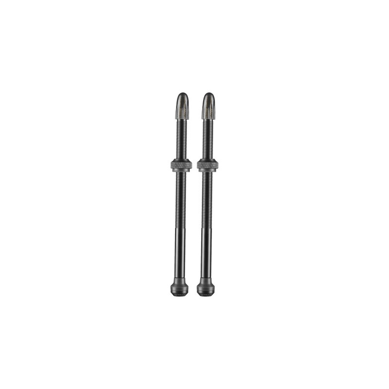 Schwalbe Schwalb Tubeless-Ventil, 100mm(schwarz, 2er Set)