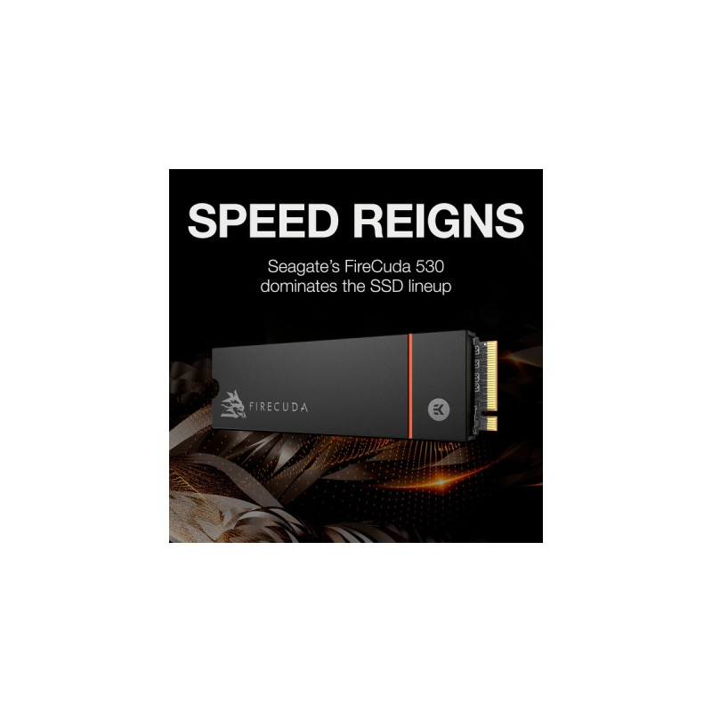 Seagate FireCuda 530 1 TB mit Kühlkörper, SSD(schwarz, PCIe 4.0 x4, NVMe 1.4, M.2 2280)