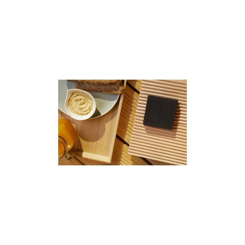 Senic Friends of Hue Outdoor Switch, Taster(schwarz)