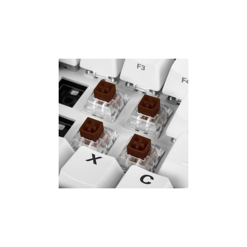 Sharkoon Kailh Box Brown Switch-Set, Tastenschalter(braun/transparent, 35 Stück)