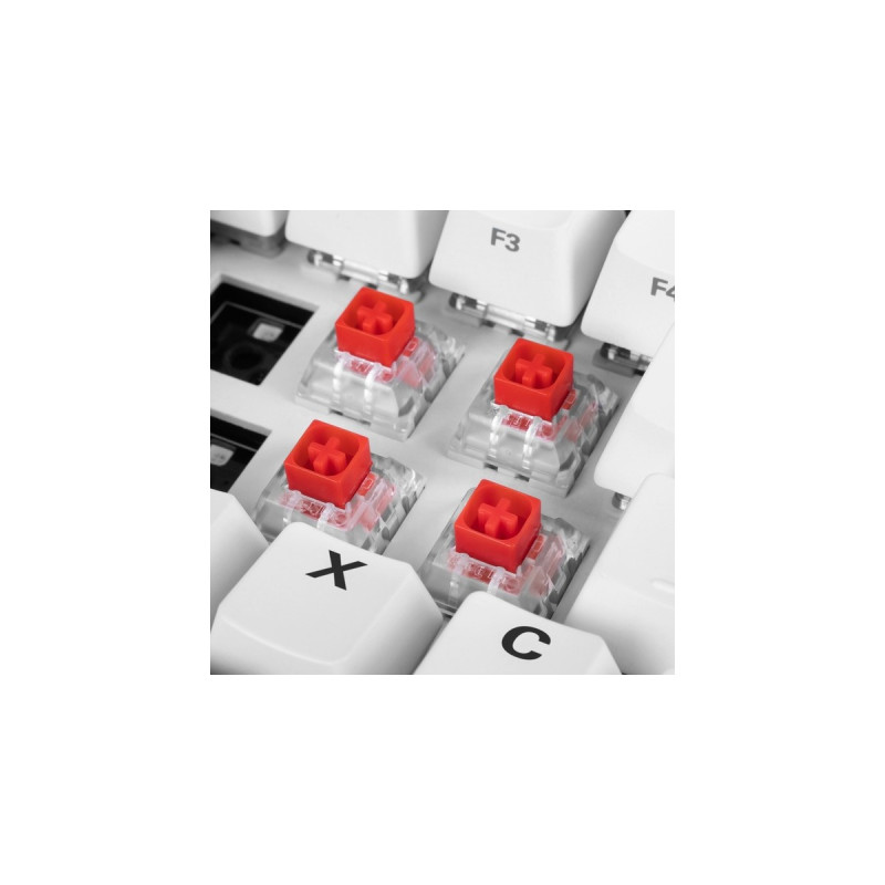 Sharkoon Kailh Box Red Switch-Set, Tastenschalter(rot/transparent, 35 Stück)