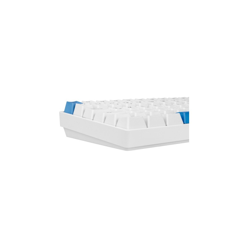 Sharkoon SKILLER SGK50 S3 PBT, Gaming-Tastatur(weiß/hellblau, DE-Layout, Gateron G Pro 3.0 Yellow)