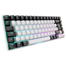 Sharkoon SKILLER SGK50 S3, Gaming-Tastatur(weiß, ES-Layout, Gateron Yellow)