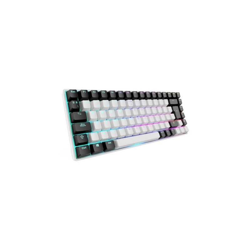 Sharkoon SKILLER SGK50 S3, Gaming-Tastatur(weiß, ES-Layout, Gateron Yellow)