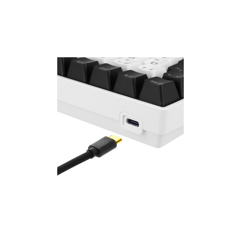 Sharkoon SKILLER SGK50 S3, Gaming-Tastatur(weiß, IT-Layout, Gateron Yellow)