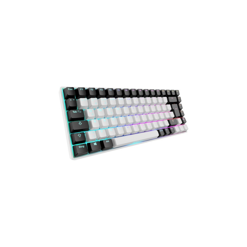 Sharkoon SKILLER SGK50 S3, Gaming-Tastatur(weiß, DE-Layout, Gateron Red)