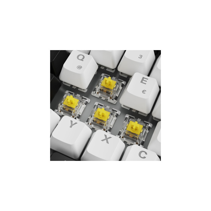 Sharkoon SKILLER SGK50 S3, Gaming-Tastatur(weiß, DE-Layout, Gateron Yellow)