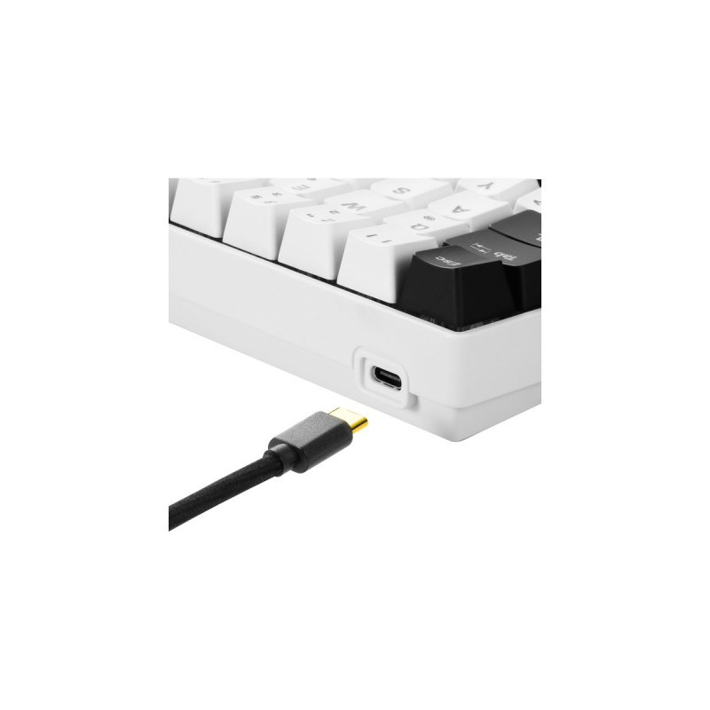 Sharkoon SKILLER SGK50 S4, Gaming-Tastatur(weiß/schwarz, BE-Layout, Kailh Red)