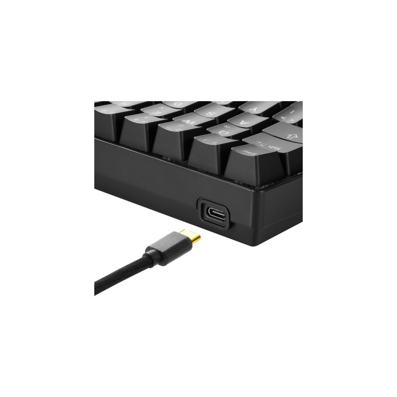 Sharkoon SKILLER SGK50 S4, Gaming-Tastatur(schwarz, DE-Layout, Kailh Brown)