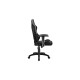 Sharkoon SKILLER SGS2 Jr., Gaming-Stuhl(schwarz/grau)