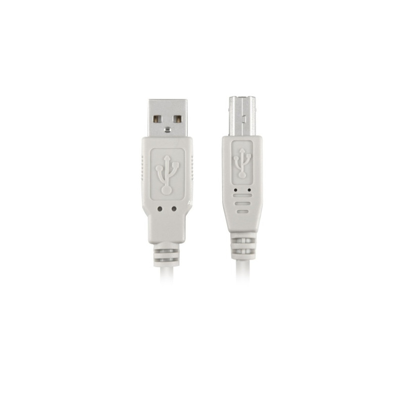 USB-B Stecker(grau, 0,5 Meter)