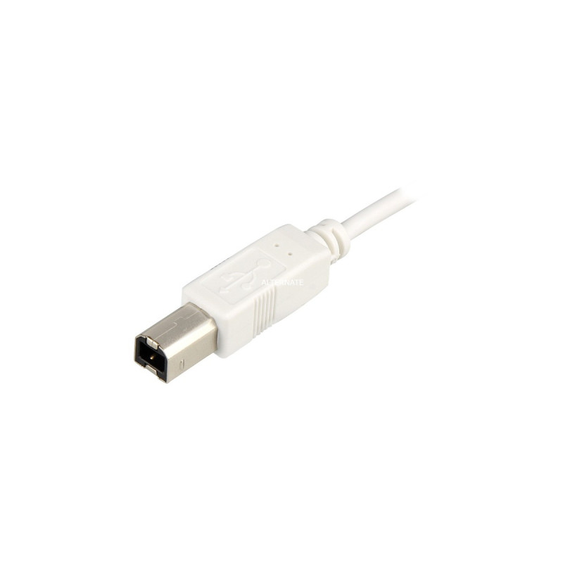 USB-B Stecker(weiß, 0,5 Meter)
