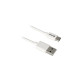 USB-C Stecker(weiß, 2 Meter)