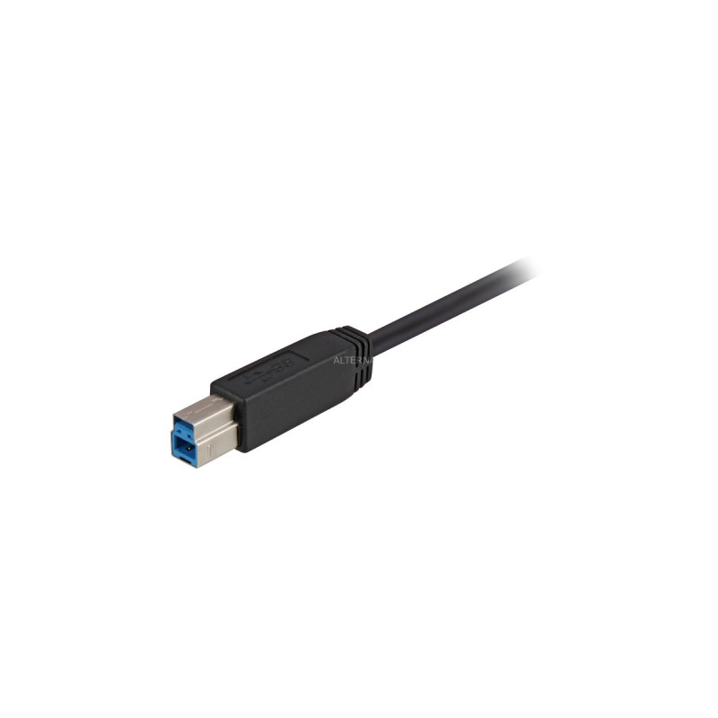 USB-B Stecker(schwarz, 5 Meter)