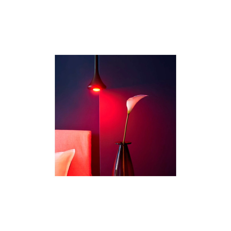 Shelly Duo GU10 RGBW, LED-Lampe