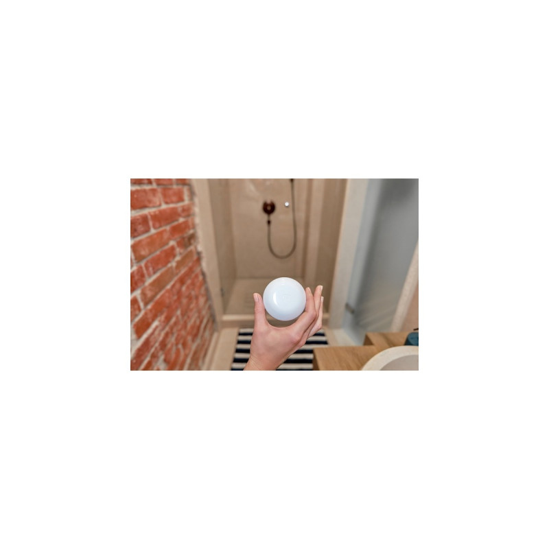 Shelly Flood, Wassermelder(weiß)