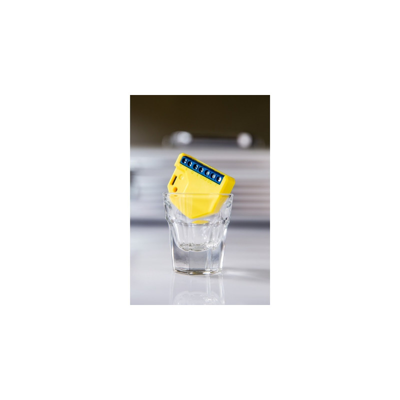 Shelly RGBW 2, Relais