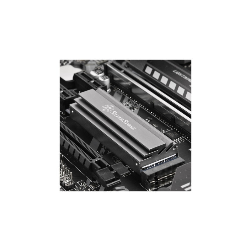 SilverStone SST-TP04, Kühlkörper(silber)