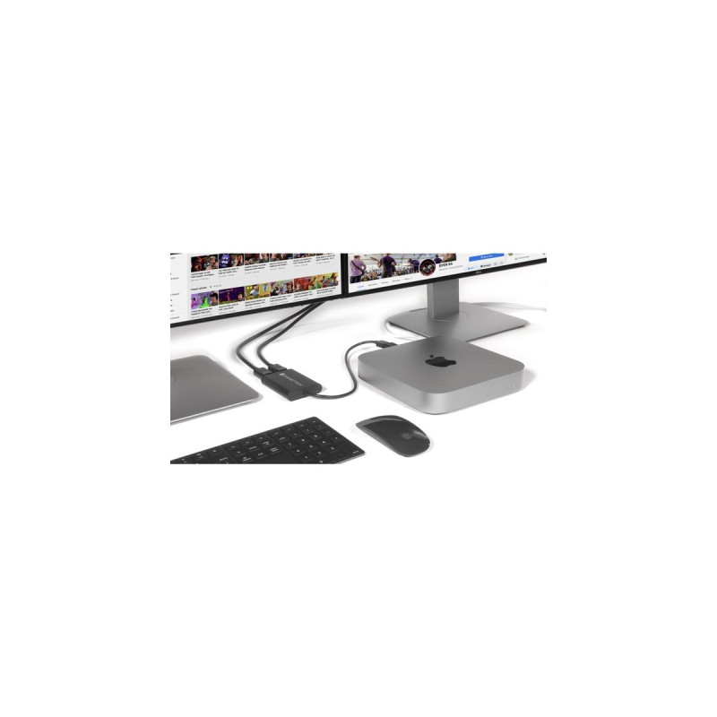 Dual 4K DisplayPort(schwarz, 30cm, für M1 und M2 Macs)