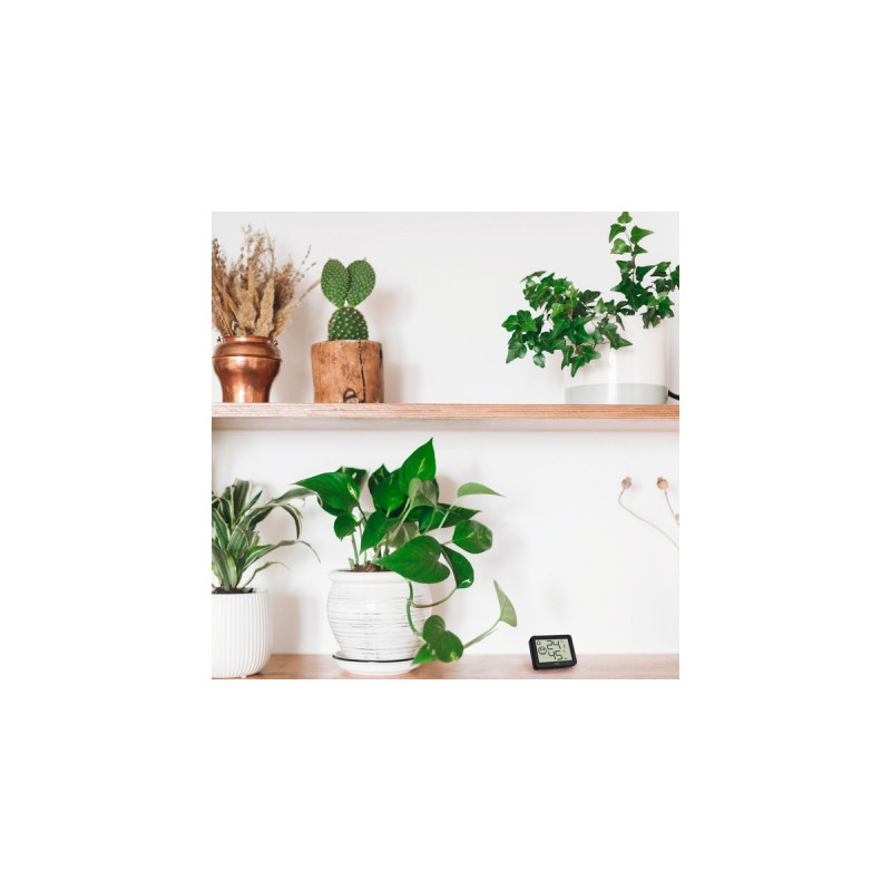 TFA Digitales Thermo-Hygrometer 30.5055, Thermometer(schwarz, 4 Einsatzgebiete: Raumklima, Musikinstrumente, Terrarium, Humidor)