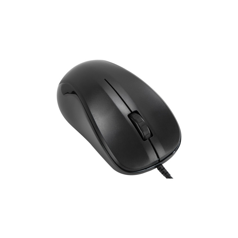 Targus 3 Button Optical USB Mouse, Maus(schwarz)