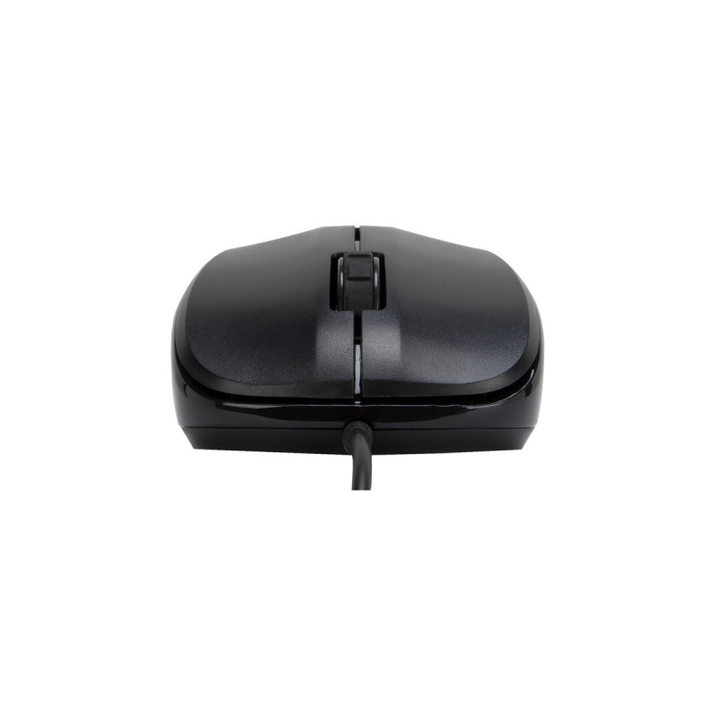 Targus 3 Button Optical USB Mouse, Maus(schwarz)