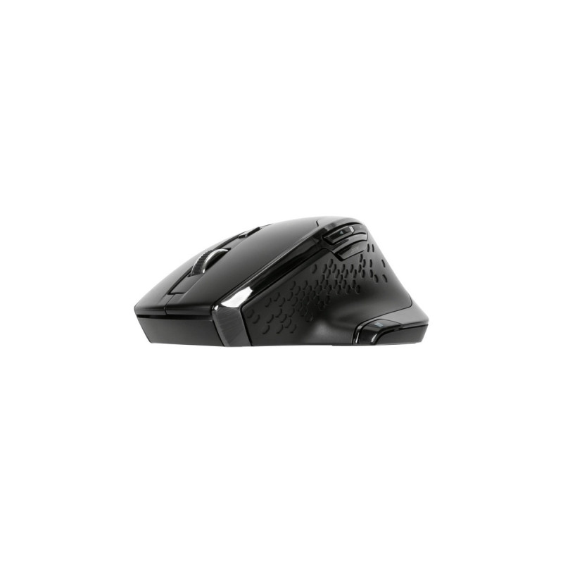 Targus Anti Microbial Ergonomic Blue Trace Maus(schwarz)
