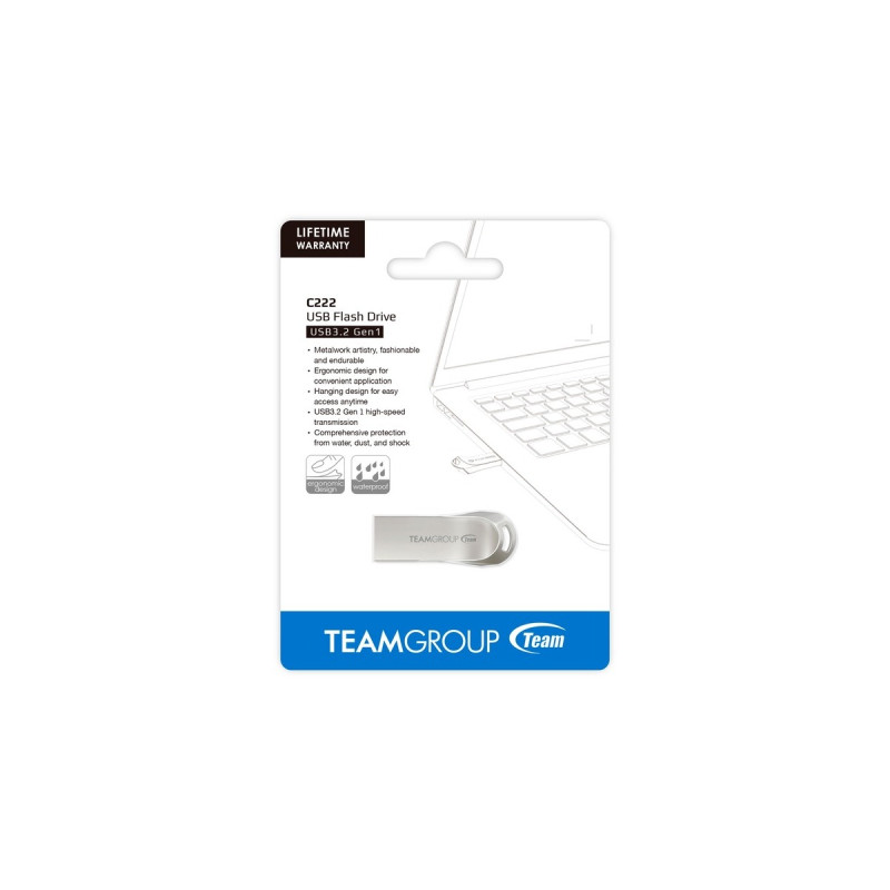 Team Group C222 256 GB, USB-Stick(silber, USB-A 3.2 Gen 1)
