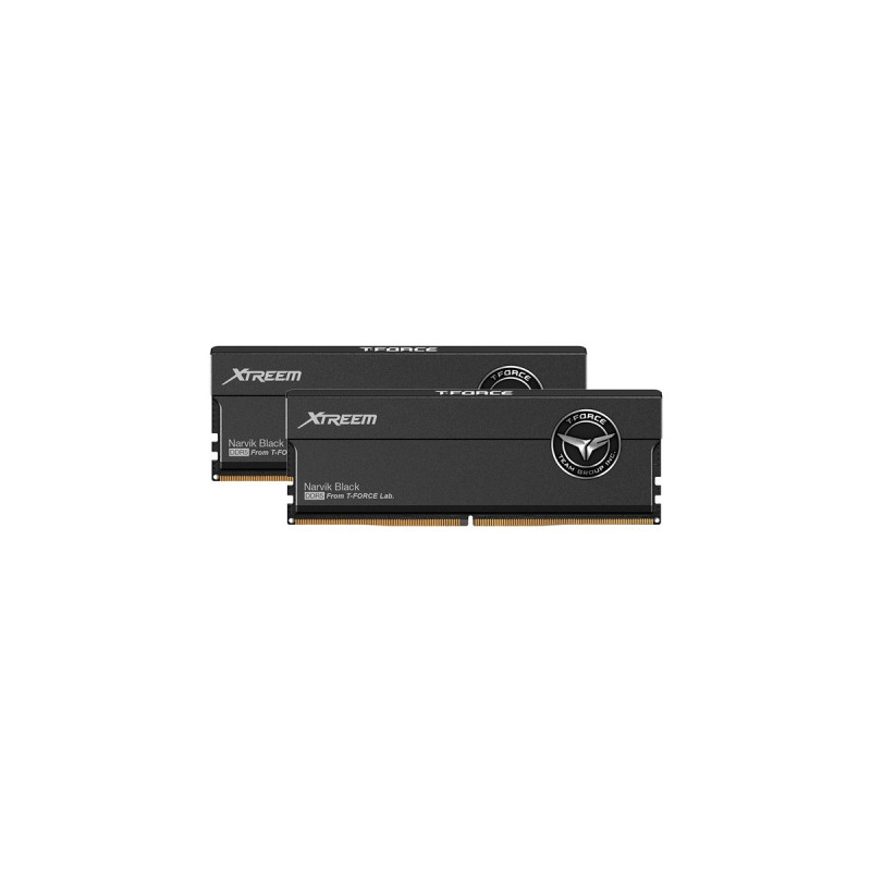 Team Group DIMM 32 GB DDR5-7600 (2x 16 GB) Dual-Kit, Arbeitsspeicher(schwarz, FFXD532G7600HC36FDC01, INTEL XMP, AMD EXPO)