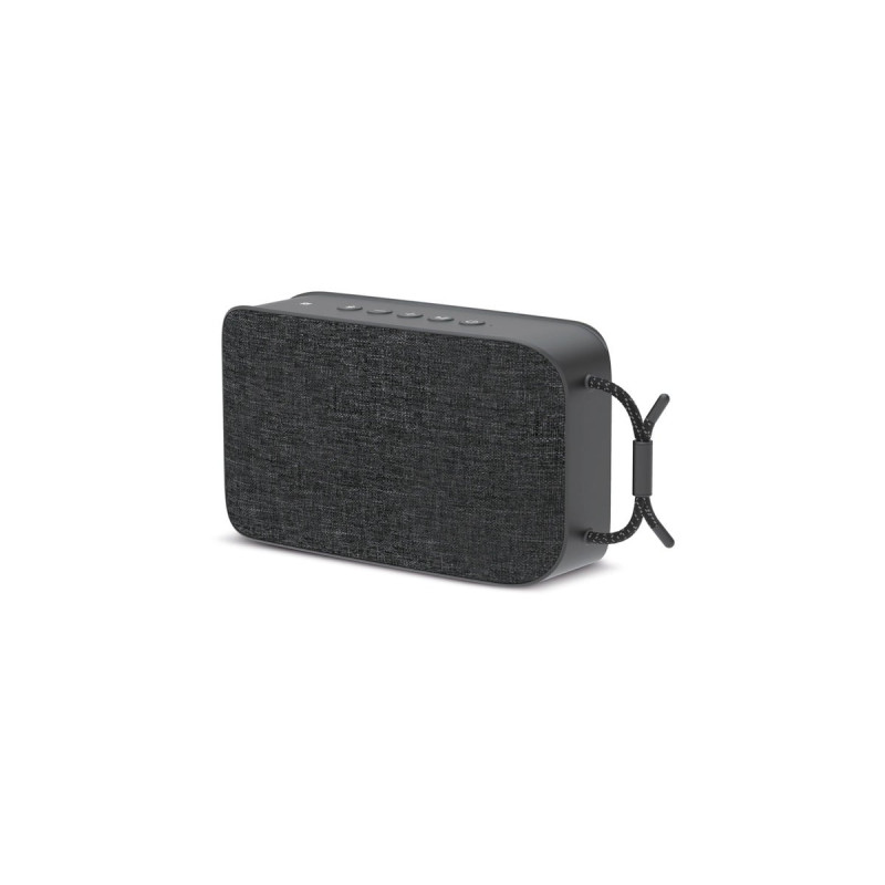 TechniSat BLUSPEAKER TWS XL, Lautsprecher(schwarz, Bluetooth, NFC, 30W, Klinke)