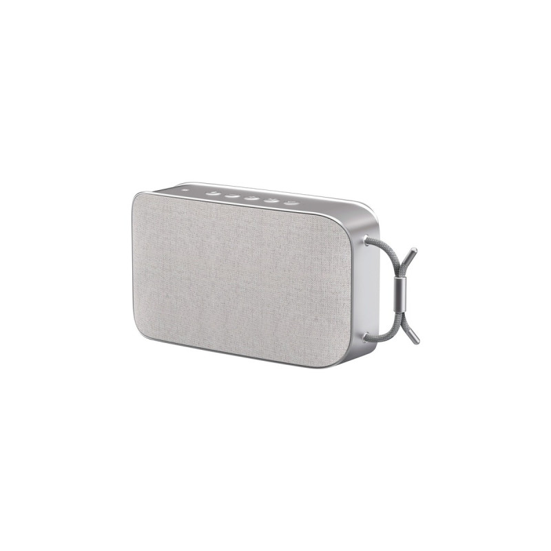 TechniSat BLUSPEAKER TWS XL, Lautsprecher(grau, Bluetooth, NFC, 30W, Klinke)