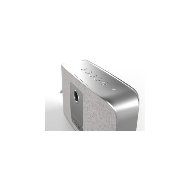 TechniSat BLUSPEAKER TWS XL, Lautsprecher(grau, Bluetooth, NFC, 30W, Klinke)