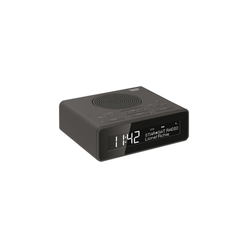 TechniSat DIGITRADIO 51(grau)