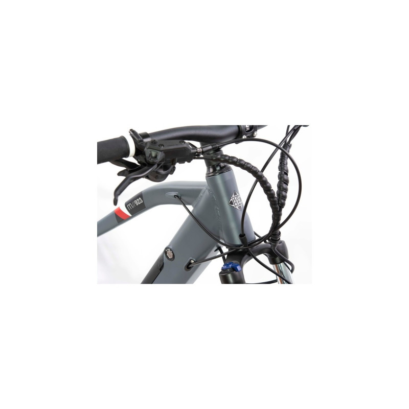 Telefunken Aufsteiger M923, Pedelec(anthrazit, 29