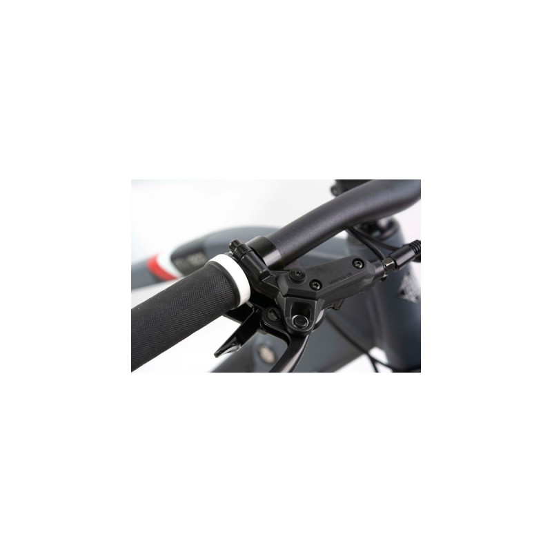 Telefunken Aufsteiger M923, Pedelec(anthrazit, 29