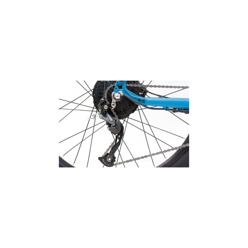 Telefunken Aufsteiger M923, Pedelec(blau, 29