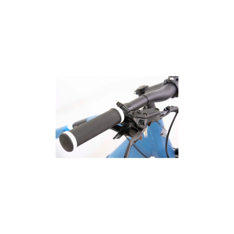 Telefunken Aufsteiger M923, Pedelec(blau, 29