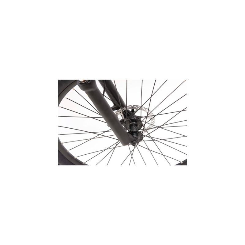 Telefunken Aufsteiger M923, Pedelec(blau, 29