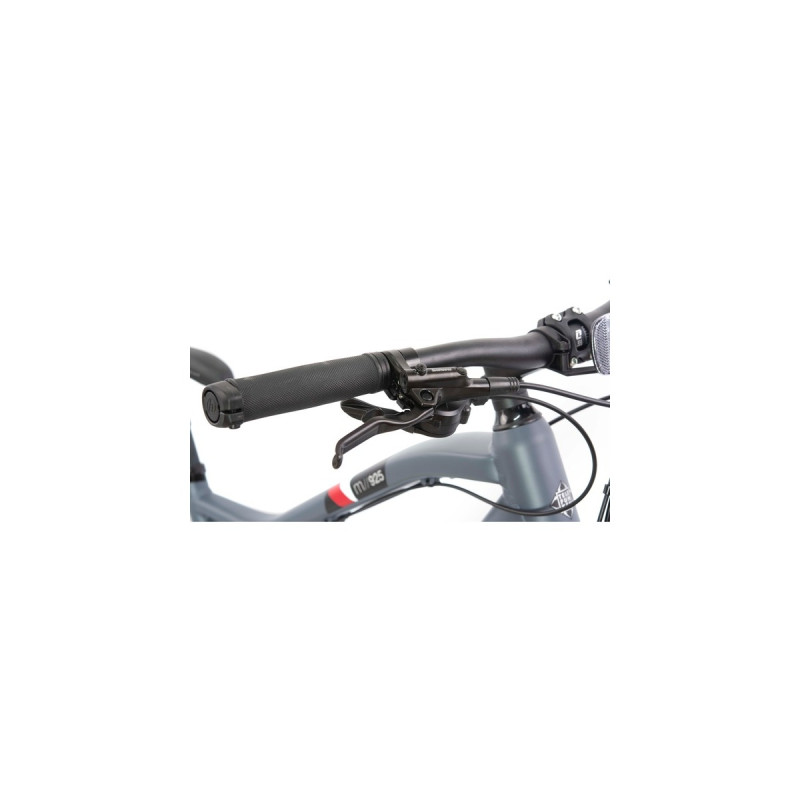 Telefunken Aufsteiger M925, Pedelec(anthrazit, 29