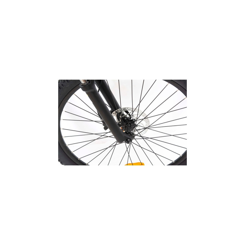 Telefunken Aufsteiger M925, Pedelec(blau, 29