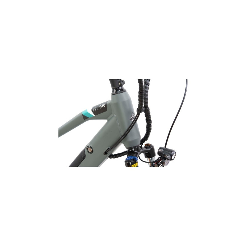 Telefunken Expedition XC940, Pedelec(weinrot, 28