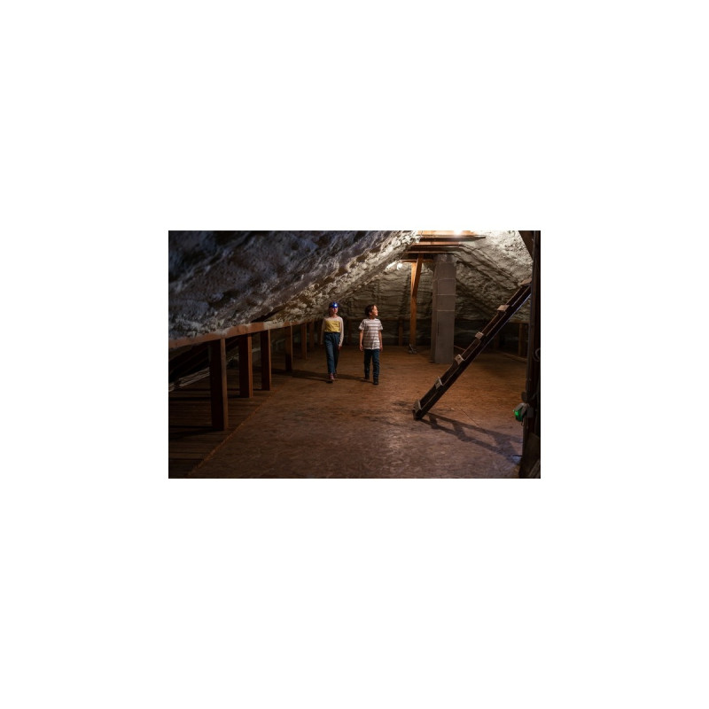 Theo Klein Bosch Kopflampe, Kinderwerkzeug(grün/schwarz)