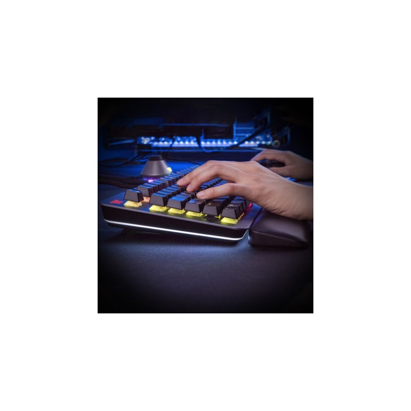 Thermaltake ARGENT K5 RGB, Gaming-Tastatur(titan/schwarz, DE-Layout, Cherry MX RGB Blue)