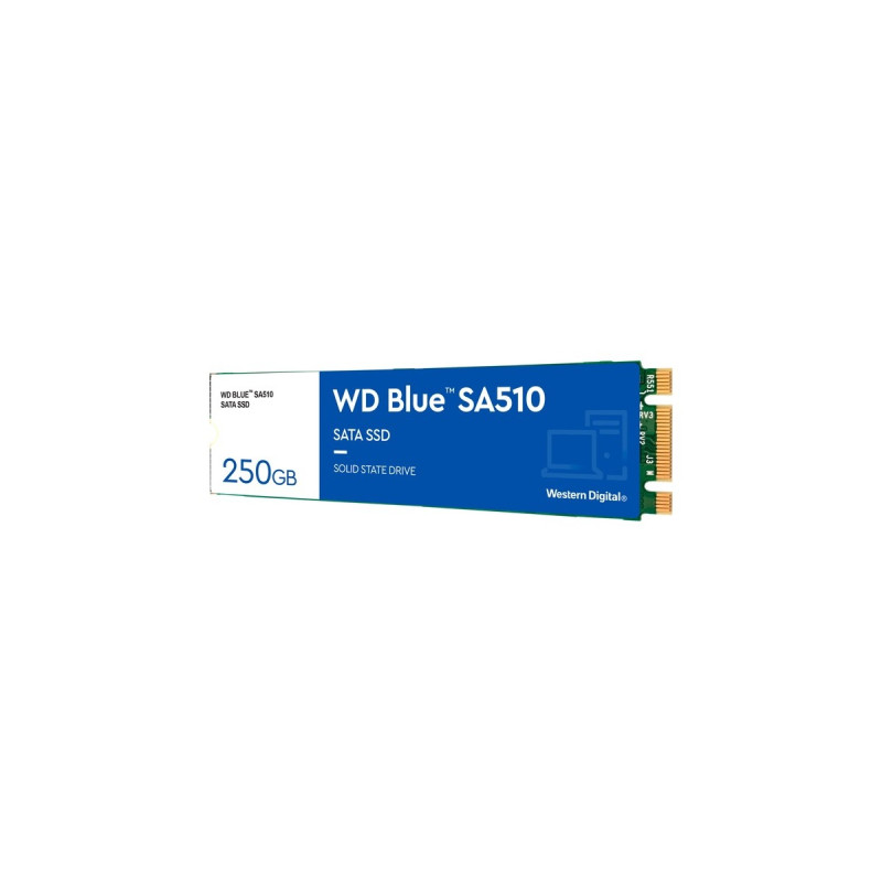 WD Blue SA510 250 GB, SSD(blau/weiß, SATA 6 Gb/s, M.2 2280)