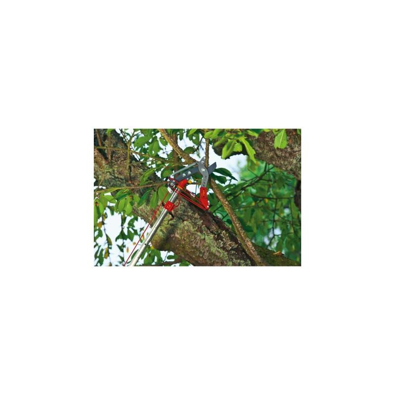 WOLF-Garten Profi-Baumschere RC-VM Amboss, multi-star(rot, Vario-Stiel)