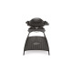 Weber Gasgrill Q 1000 Stand Black(schwarz)