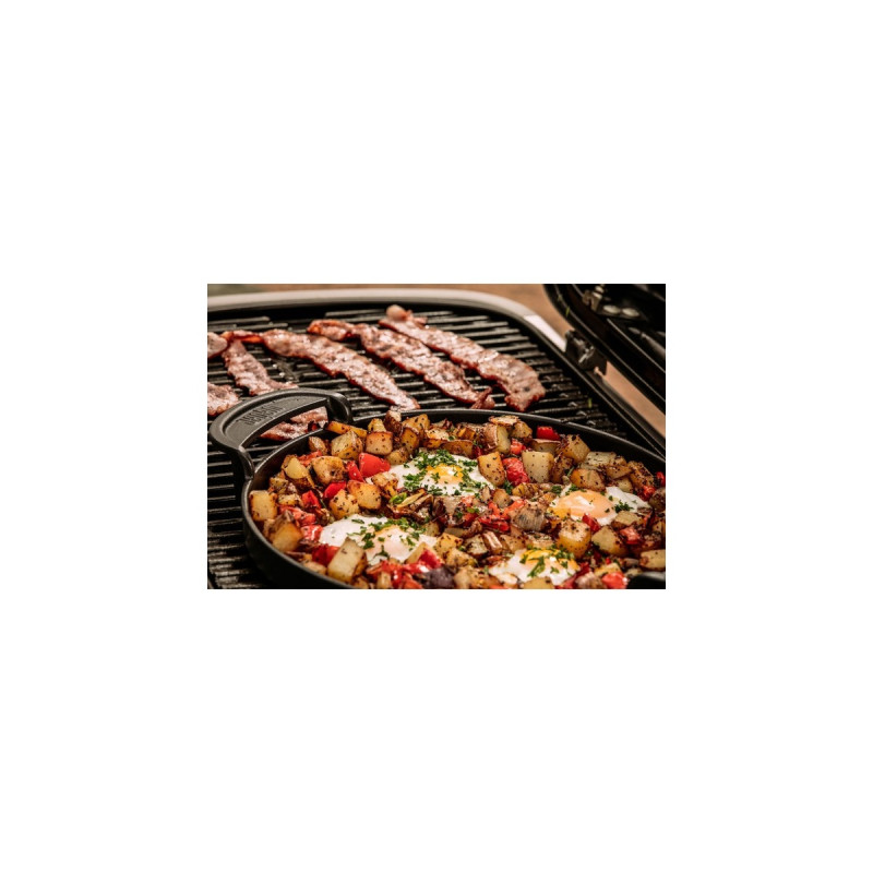 Weber Gasgrill Traveler Black(schwarz/silber, zusammenklappbar)