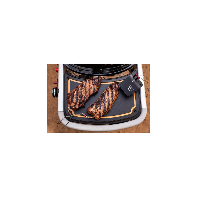 Weber Gasgrill Traveler Black(schwarz/silber, zusammenklappbar)