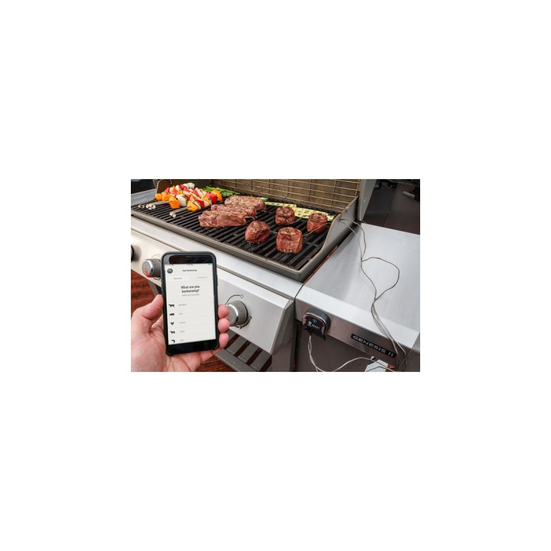 Weber Grillthermometer iGrill 3